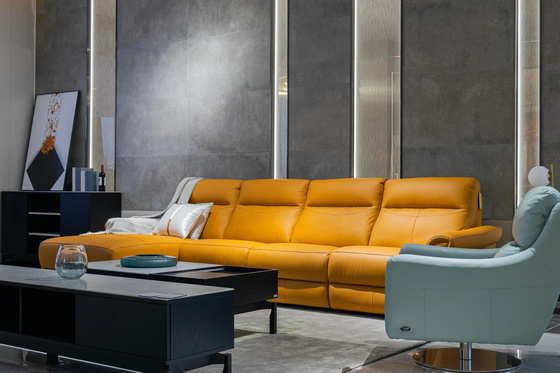 Brand 02 Chivas First Class Functional Sofa