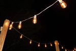 Photo Vintage Edison Bulb