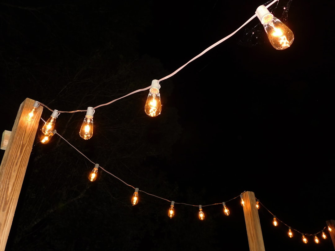 Photo Vintage Edison Bulb